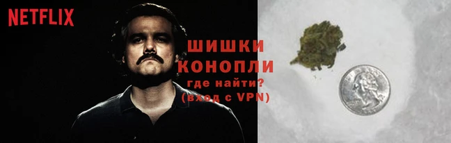 PSILOCYBIN Алексин