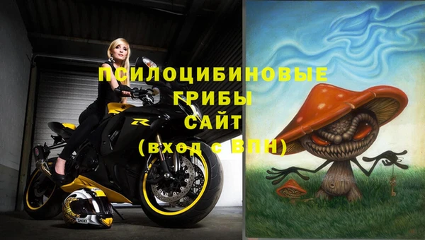 прущая мука Алзамай