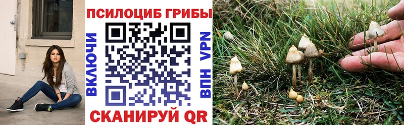 Галлюциногенные грибы ЛСД  купить  сайты  Кола 